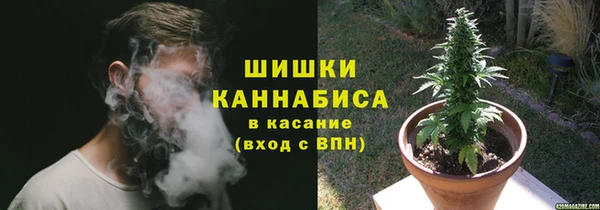 ПСИЛОЦИБИНОВЫЕ ГРИБЫ Армянск
