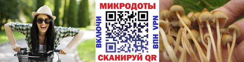 наркошоп  Инсар  Галлюциногенные грибы Psilocybine cubensis 