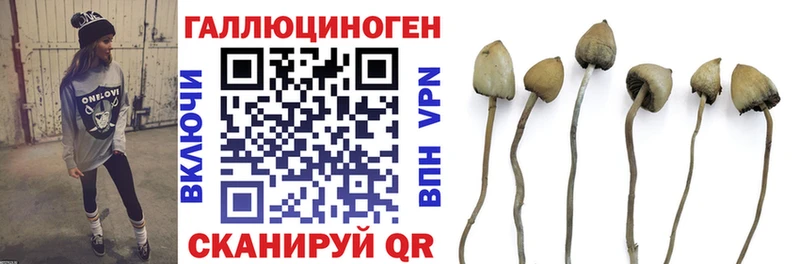 Галлюциногенные грибы Psilocybe Инсар